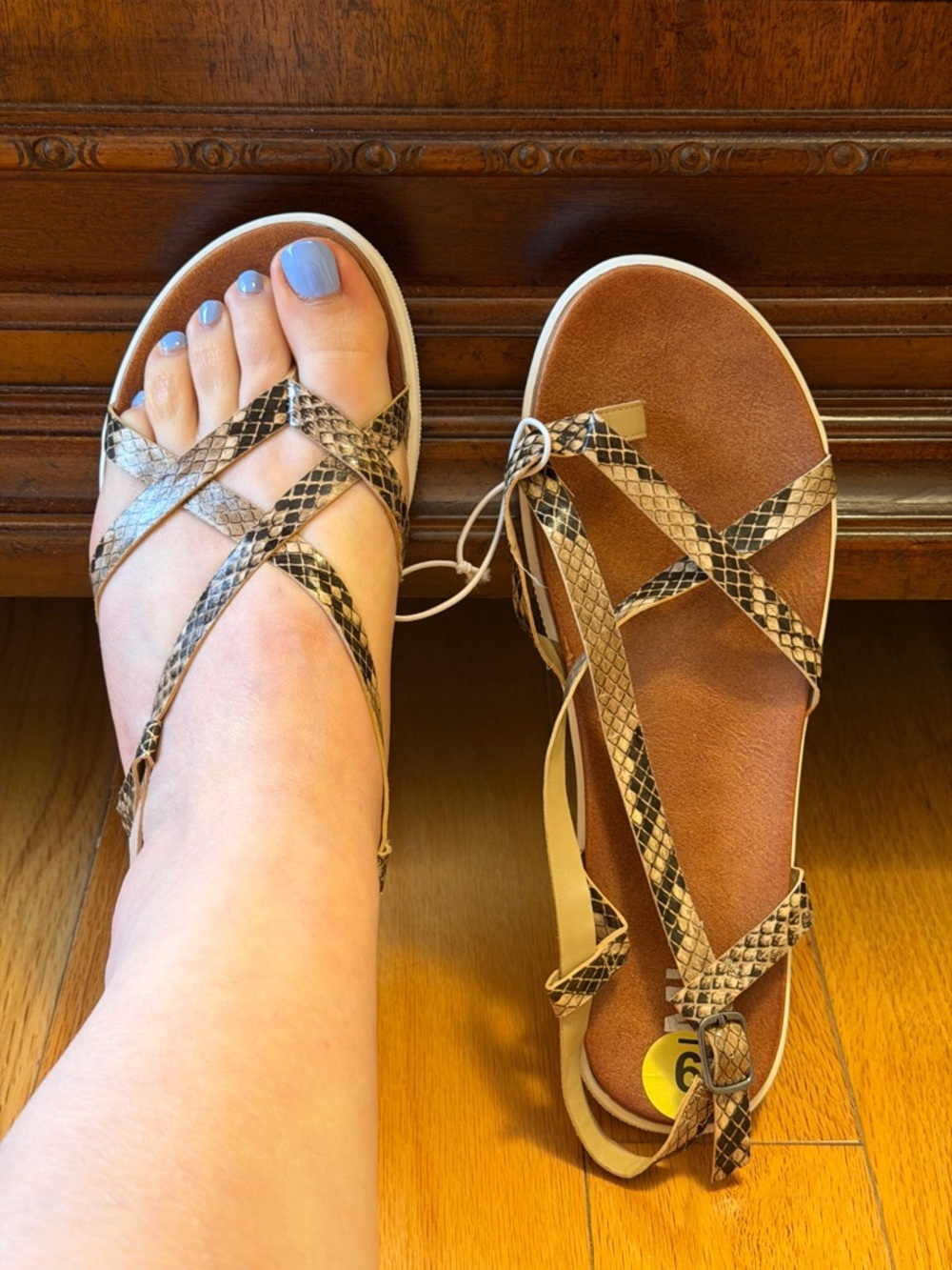 MIA Snake-Print Crisscross Sandals in Brown and Black